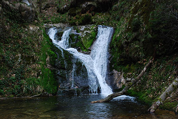 Allerheiligenwasserfälle © CharlyEbel (Nationalpark Schwarzwald)